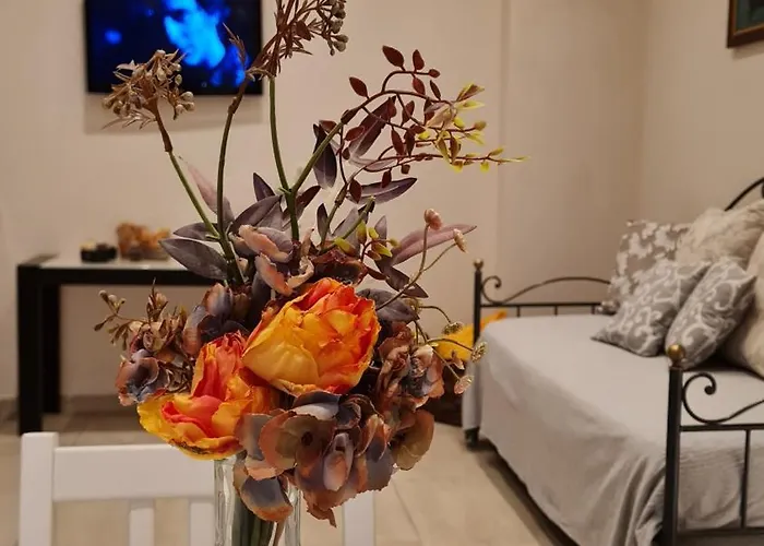 Appartamento Casa Stella Centro Foce *